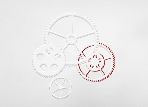 Complete service for your watch